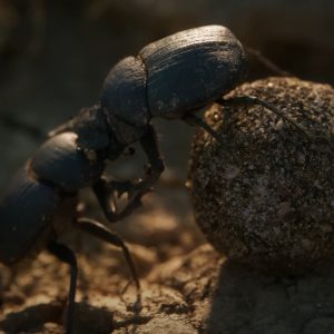 ©amy-ash-screenshot-2024-04-06-152956